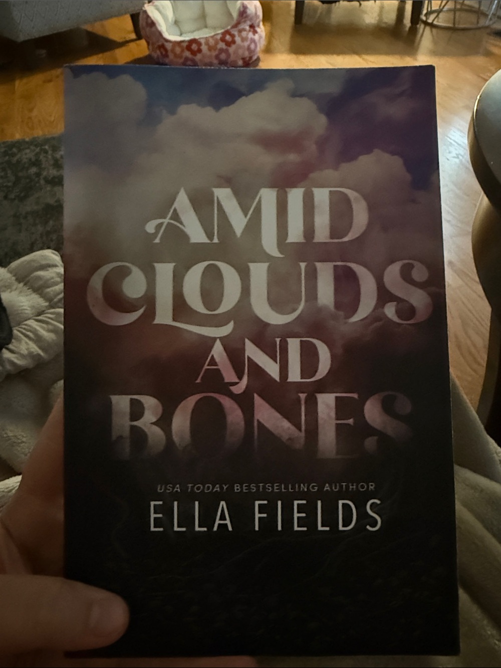 OOP Cover Amid Clouds and Bones by Ella Fields - Purple/Pink Ombre Paperback